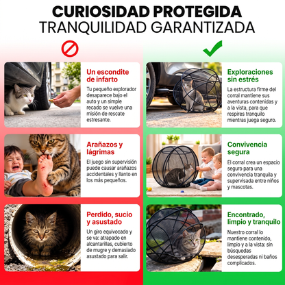 Esfera de Juegos para Mascotas