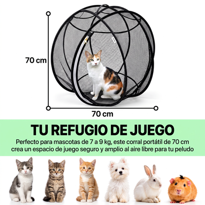 Esfera de Juegos para Mascotas