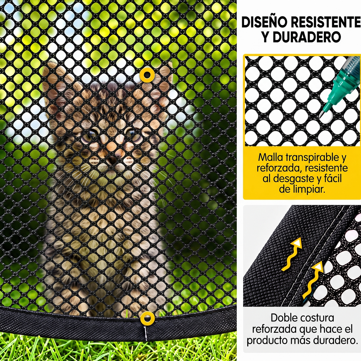 Esfera de Juegos para Mascotas